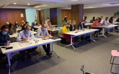 Gran parte de nuestro Equipo de Agentes Inmobiliarios Asociados de nuestra Agencia de Plaza Nueva, en plena Formación